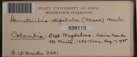 Image Associated With the Occurence